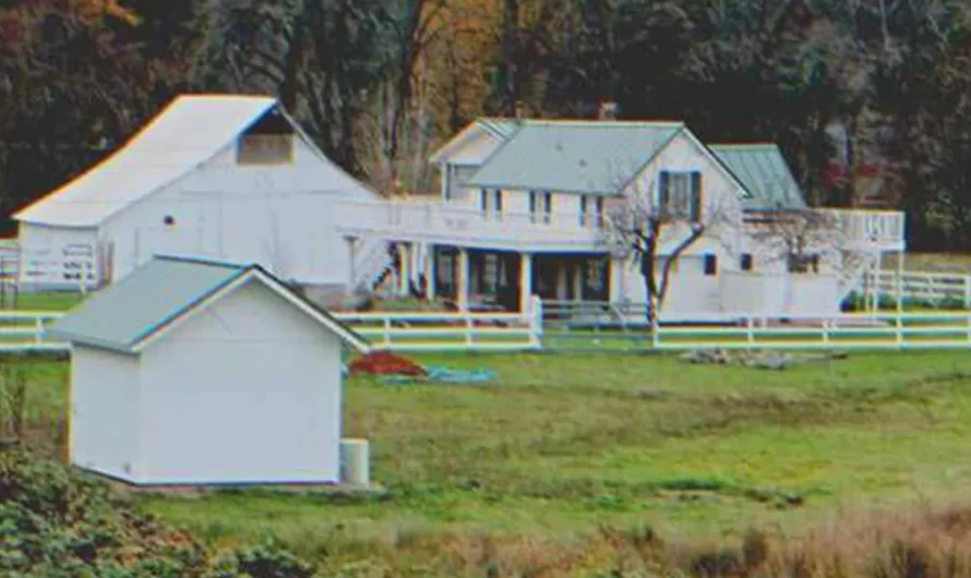 Poor Widower Sells Farm to Leave Son an Inheritance, He Disappears without a Trace the Next Day