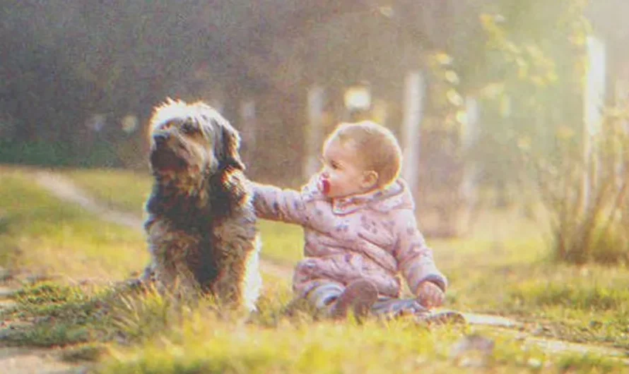 Man Hears His Dog Barking from Afar, Finds It Sitting near an Abandoned Baby.