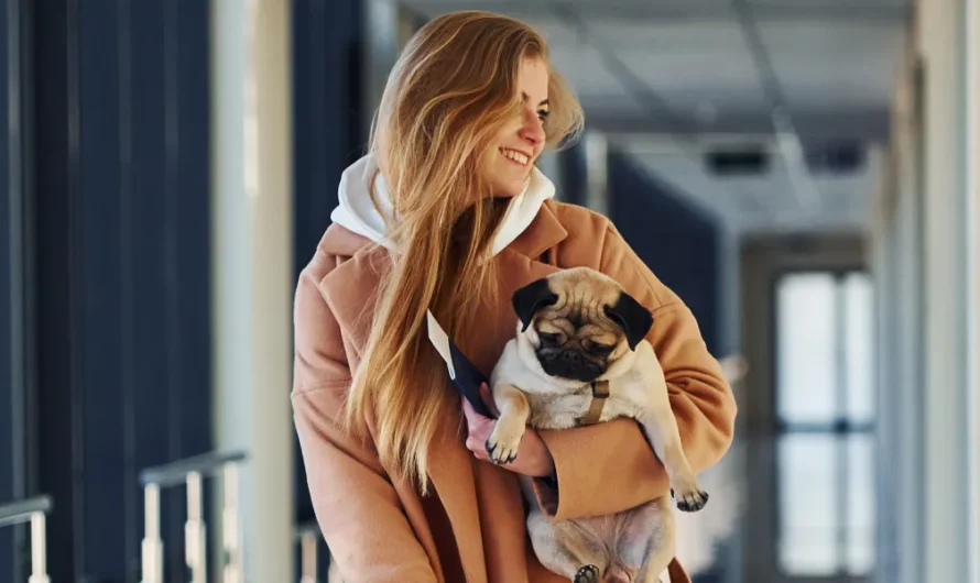 Entitled Dog Owner Made the Airport Hell for Everyone – She Deserved What I Did at the Gate